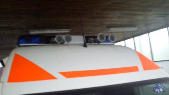 Ambulans Sprinter 313 CDI