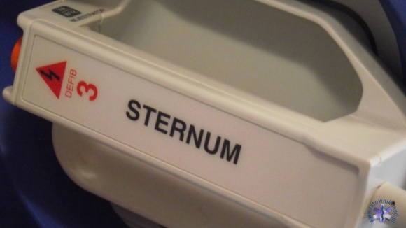 Sternum