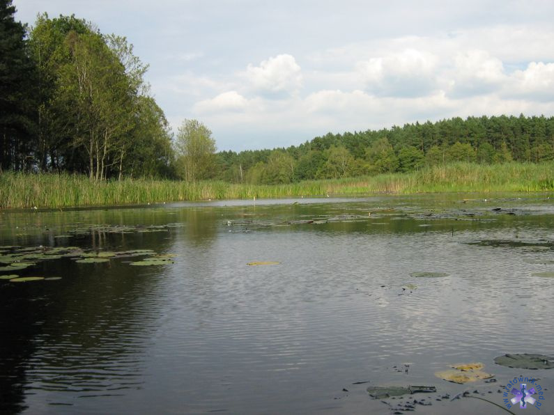 Widoczki