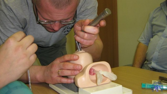 Kurs doskonalący dla ratowników medycznych - Szczecin 2008